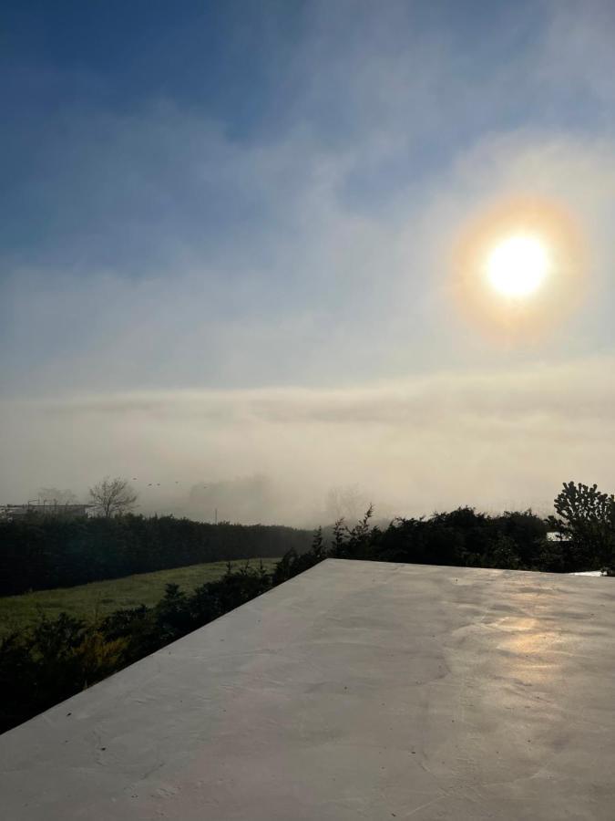 Apartament La Terrasse Sarichioi 外观 照片